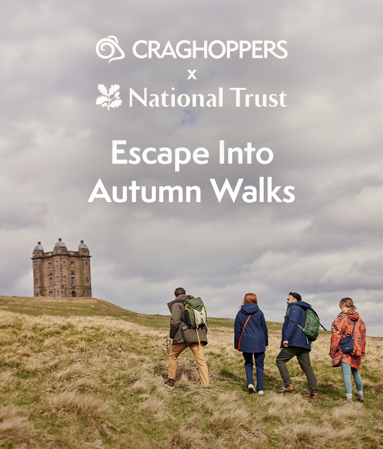 Escape Into Autumn Walks