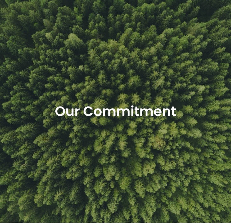 Our Commitment 