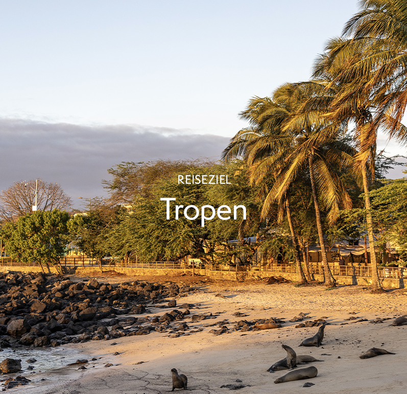 Reiseziel: Tropen