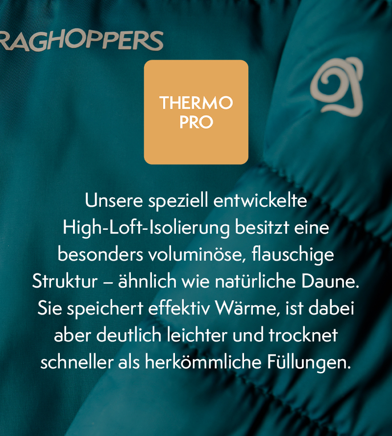 ThermoPro