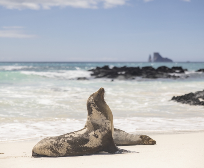 Galapagos Conservation Trust