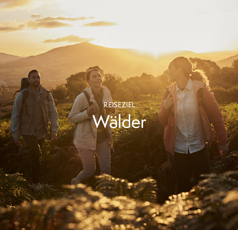 Reiseziel: Wälder