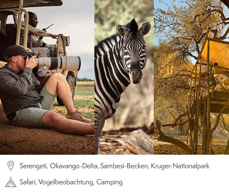 Serengeti, Okavango-Delta, Sambesi-Becken, Kruger-Nationalpark