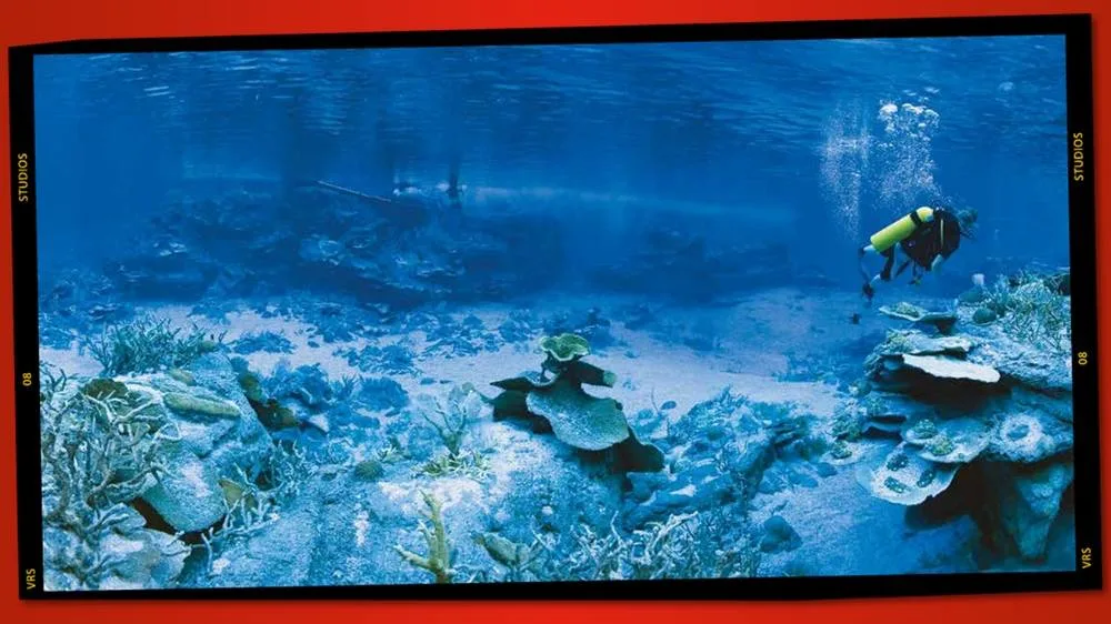 A scuba diver swims above a vibrant coral reef in clear blue water, surrounded by various coral formations and marine life. The image has a red border and film-like edges.