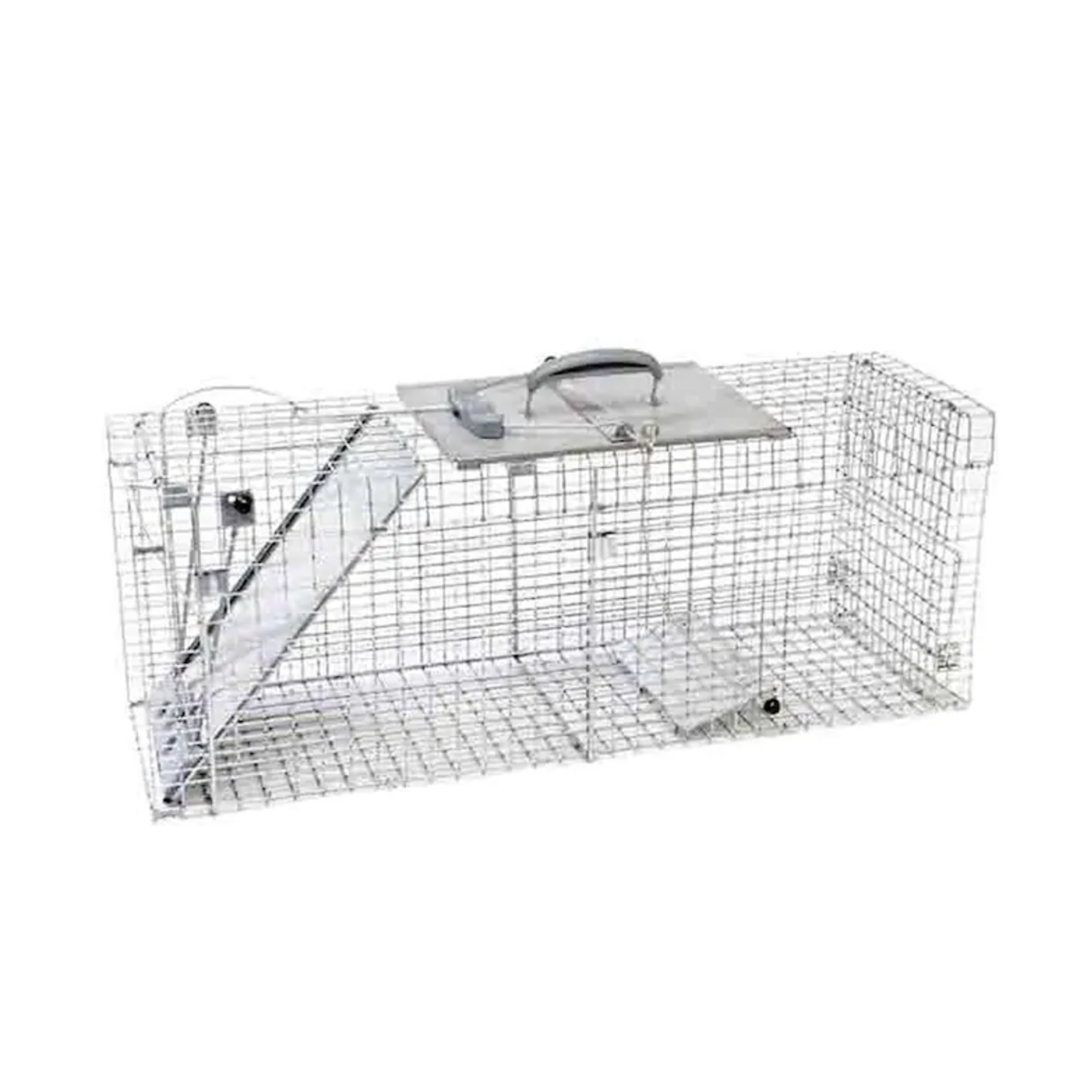 Humane Trap for Stray Cats