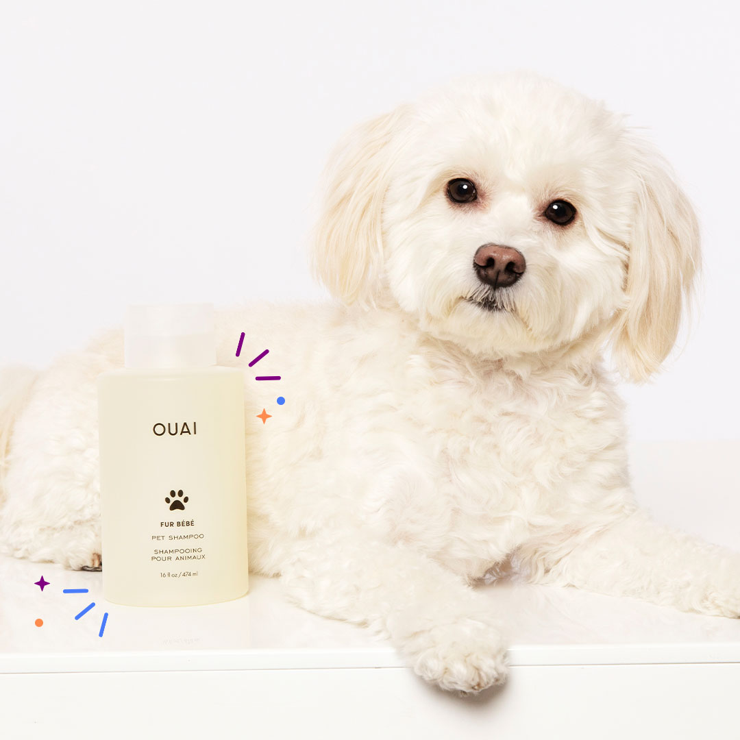 Ouai Fur Bébé Pet Shampoo