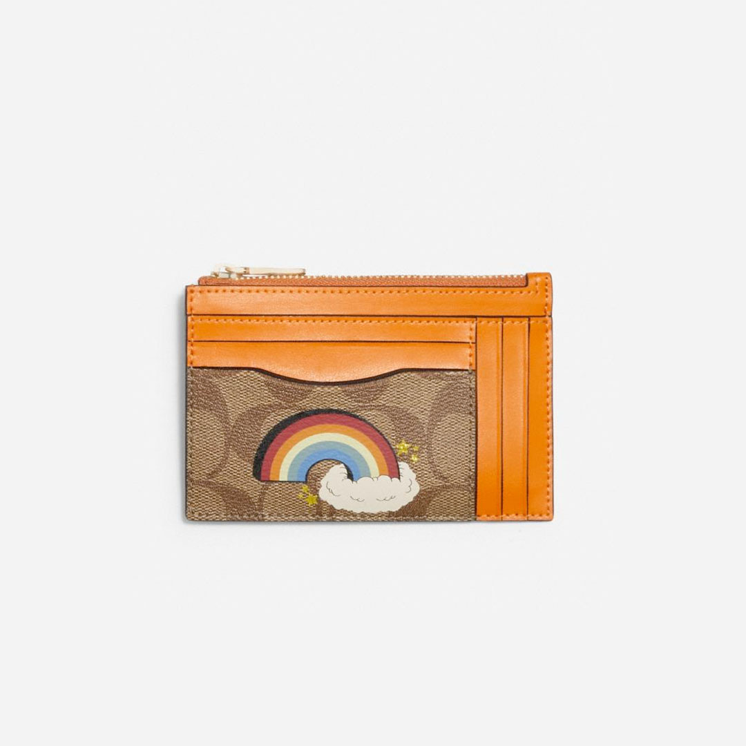 Coach Xl Mini Skinny Id Case In Signature Canvas With Rainbow