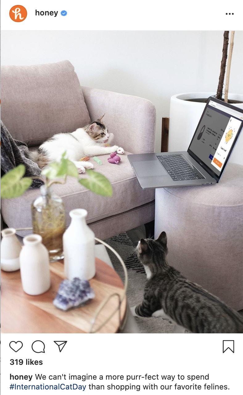 Cats on Computer