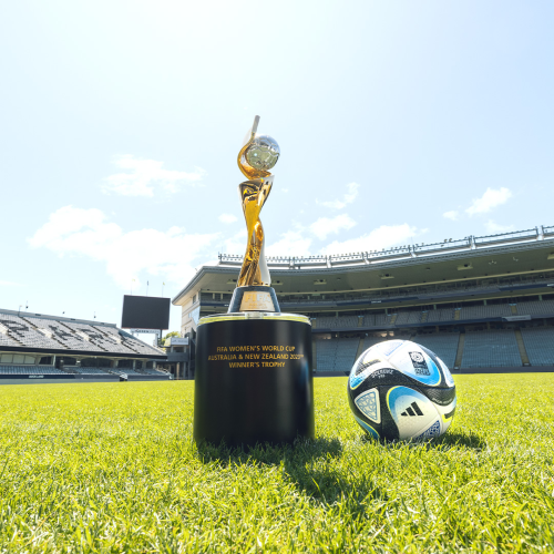 Aida Bz Réplica del Trofeo de la Copa Mundial Femenina, 1: 1 más Altos del  Equipo de fútbol Femenino Ventiladores de Honor de fútbol Recuerdos :  : Deportes y aire libre