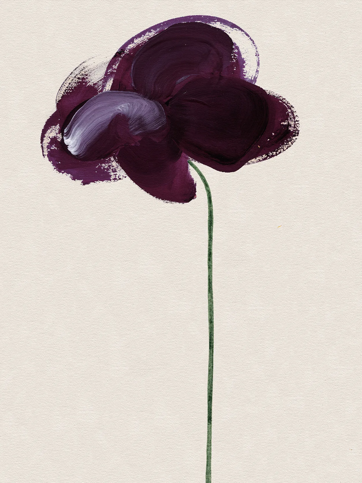 Mateus, Les Fleurs