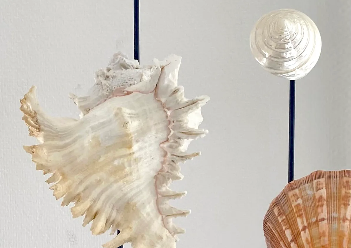 Maria Nilsdotter, jewelry display