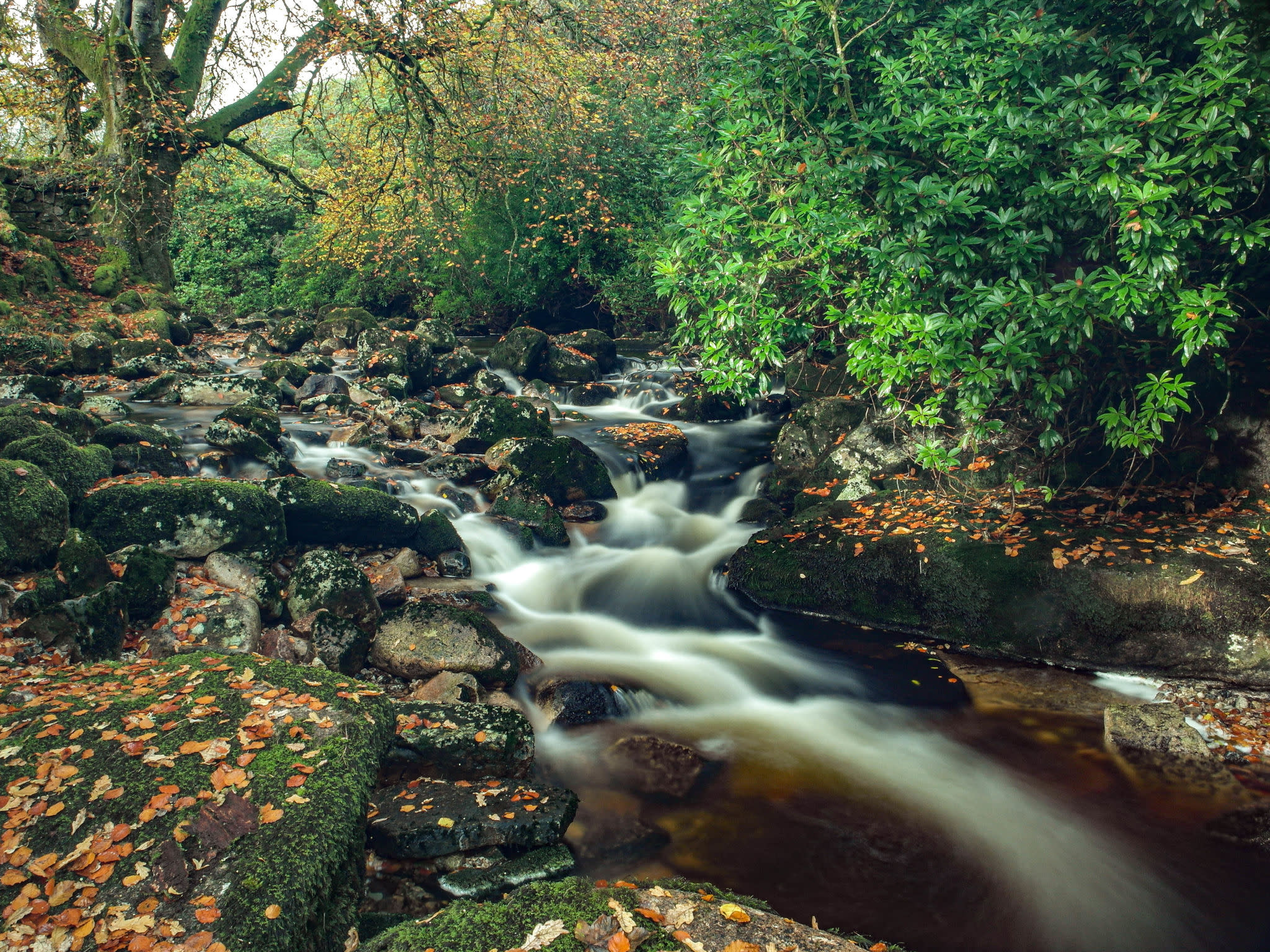 A running river