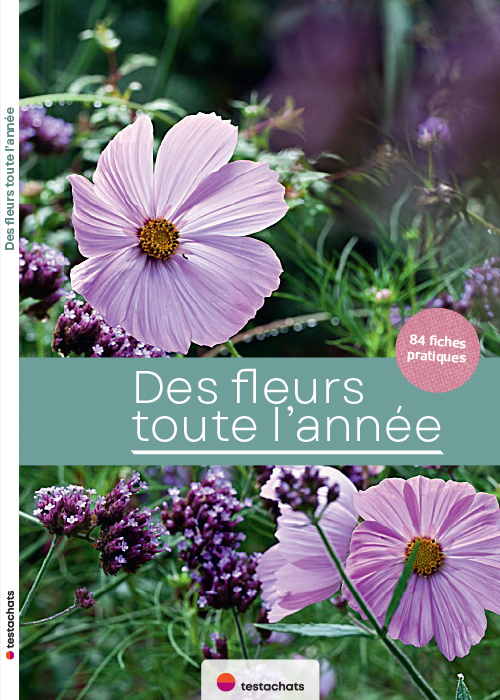 Couverture du guide pratique Des fleurs toute l’année