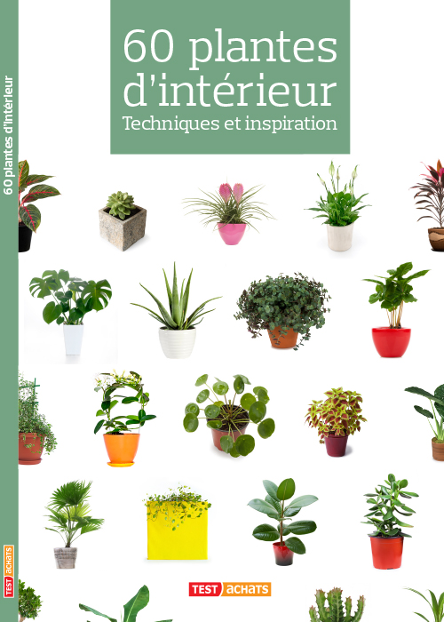 Couverture du guide pratique '60 plantes d’intérieur'