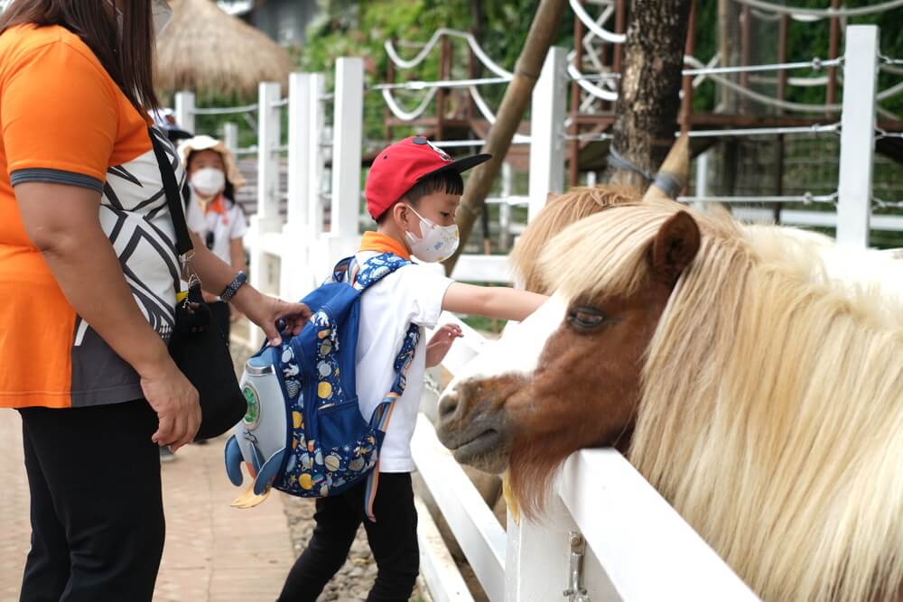 Learning Journey - (11)