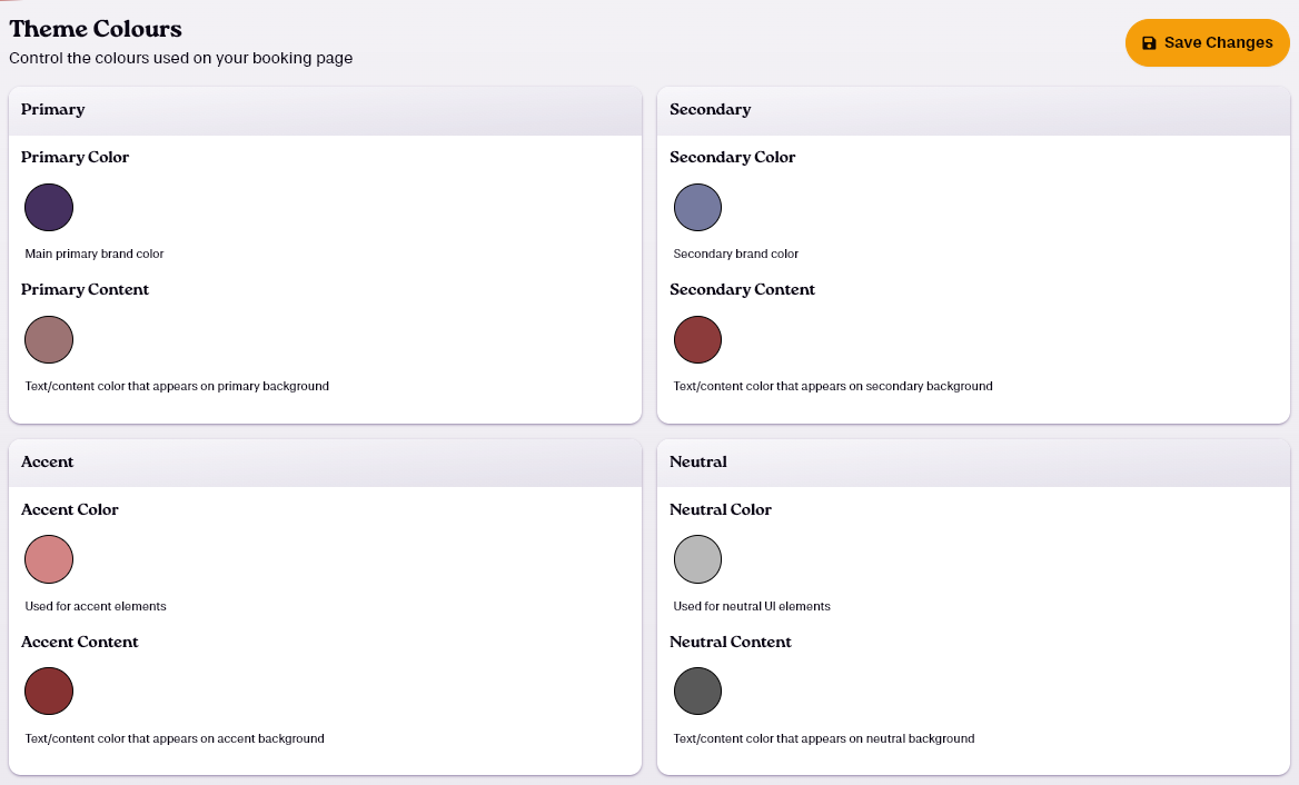 Custom Theme Settings