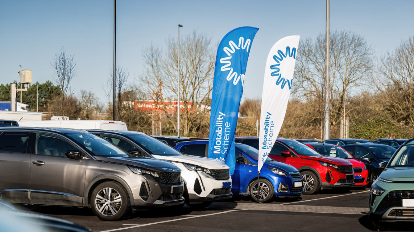 Look for BYD dealers