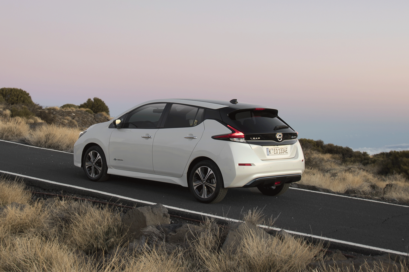 Nissan Leaf in white