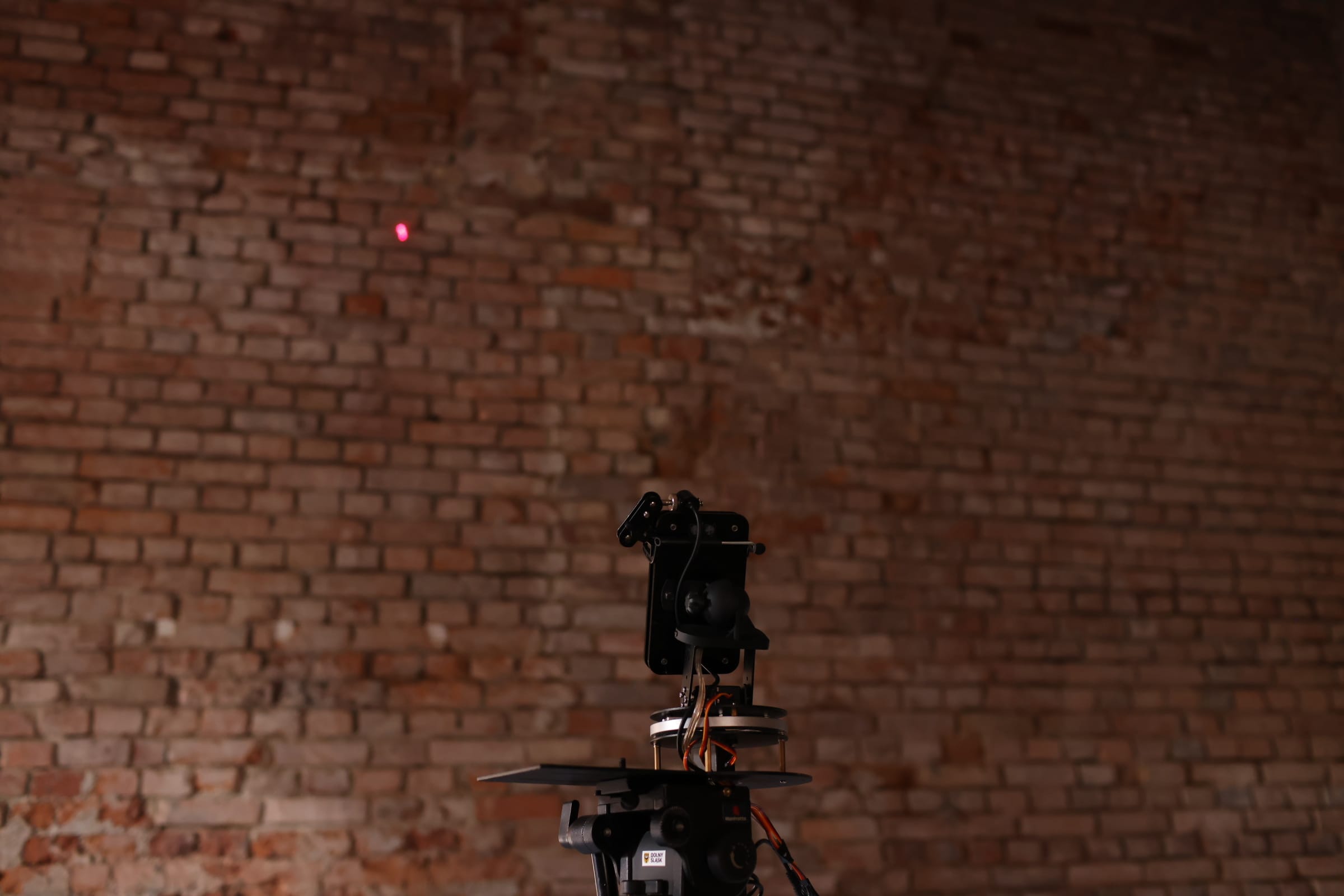 Ryo Ikeshiro bug bug 05 - Dr Ryo IKESHIRO.JPG