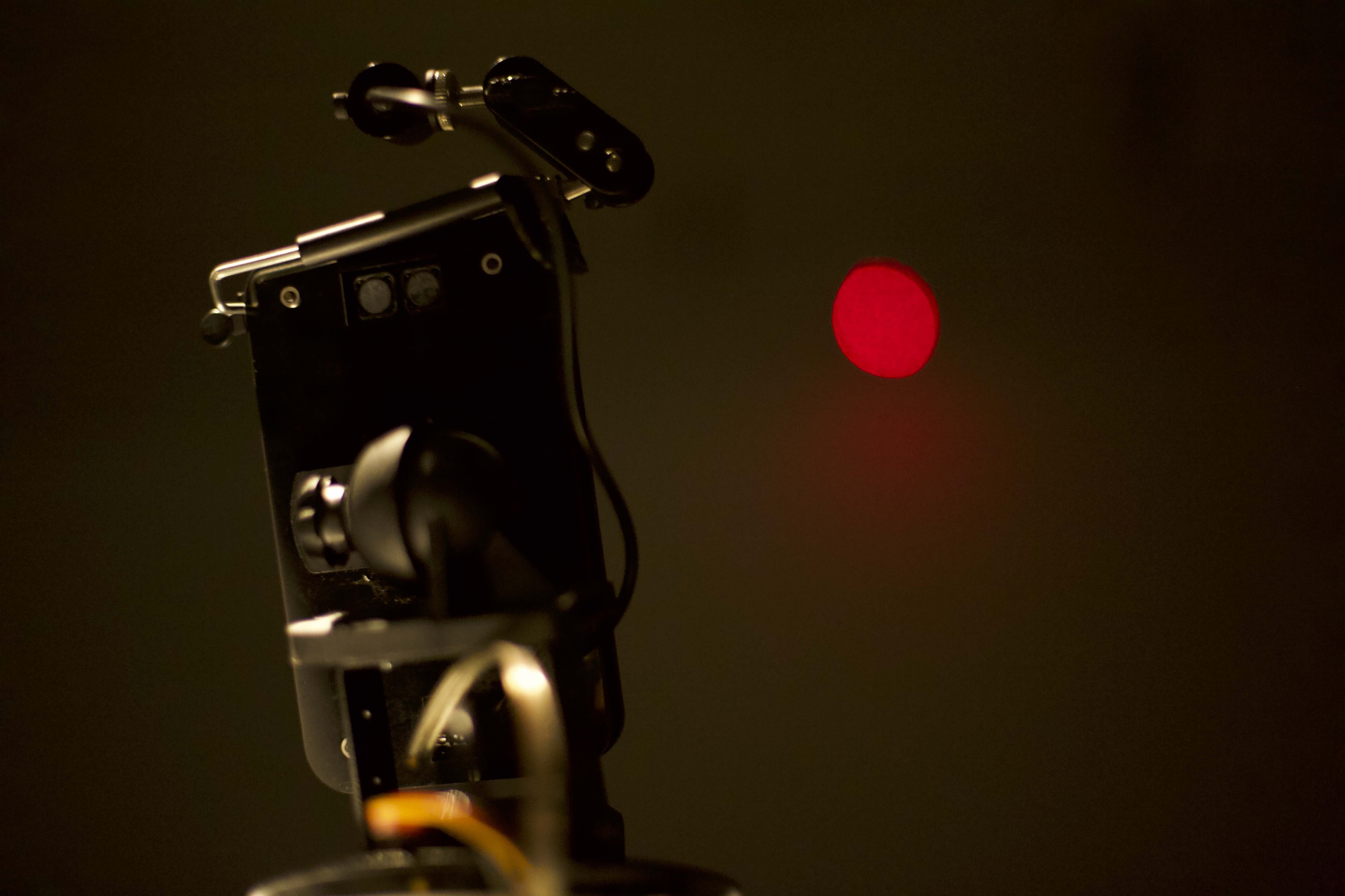 Ryo Ikeshiro bug bug 01 - Dr Ryo IKESHIRO