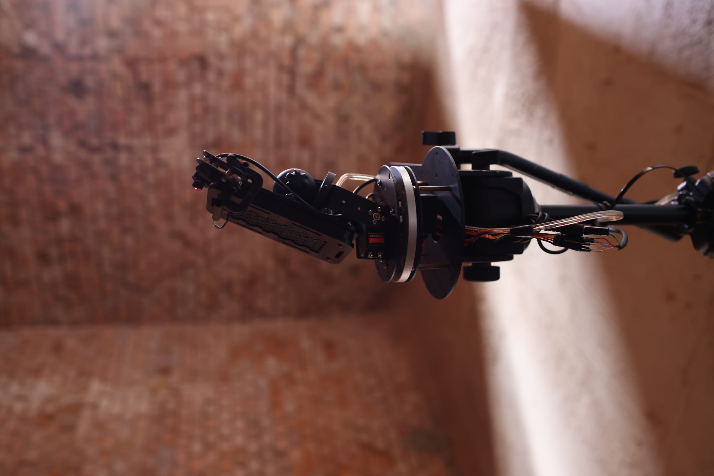 Ryo Ikeshiro bug bug 04 - Dr Ryo IKESHIRO.JPG