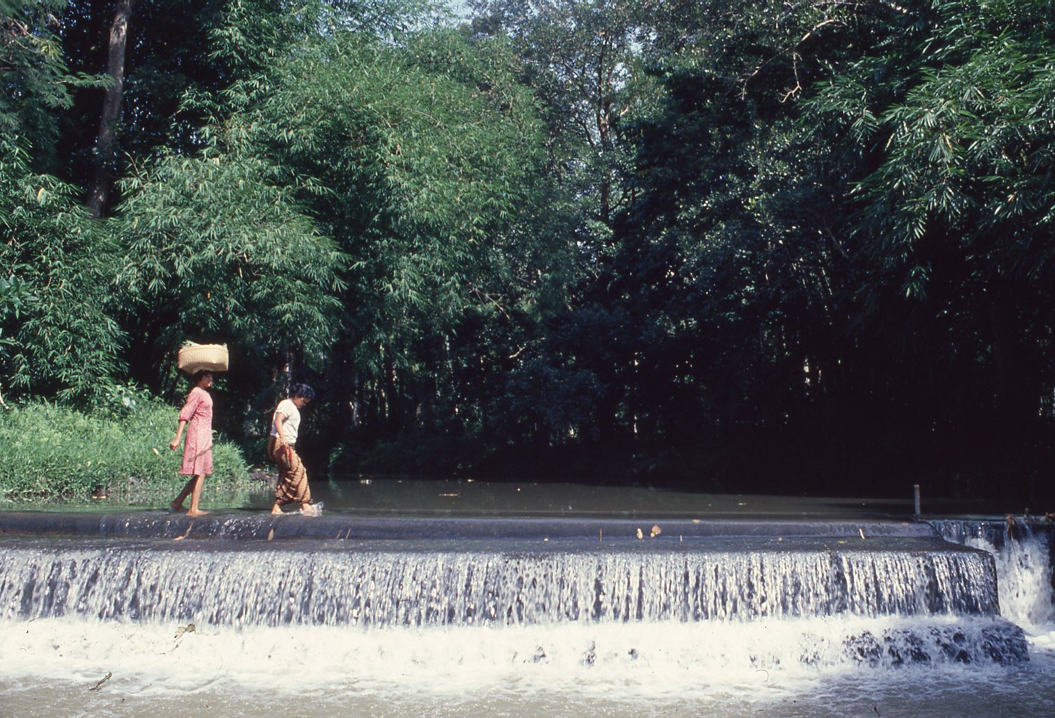 Bali Irrigation Project 1978 (57) copy