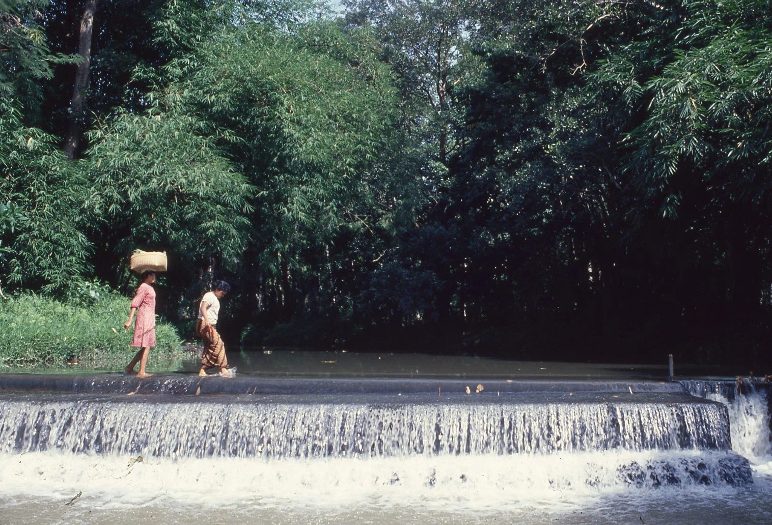 Bali Irrigation Project 1978 (57) copy
