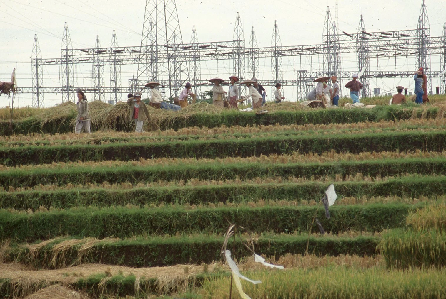 Bali Irrigation Project 1988 (12) copy