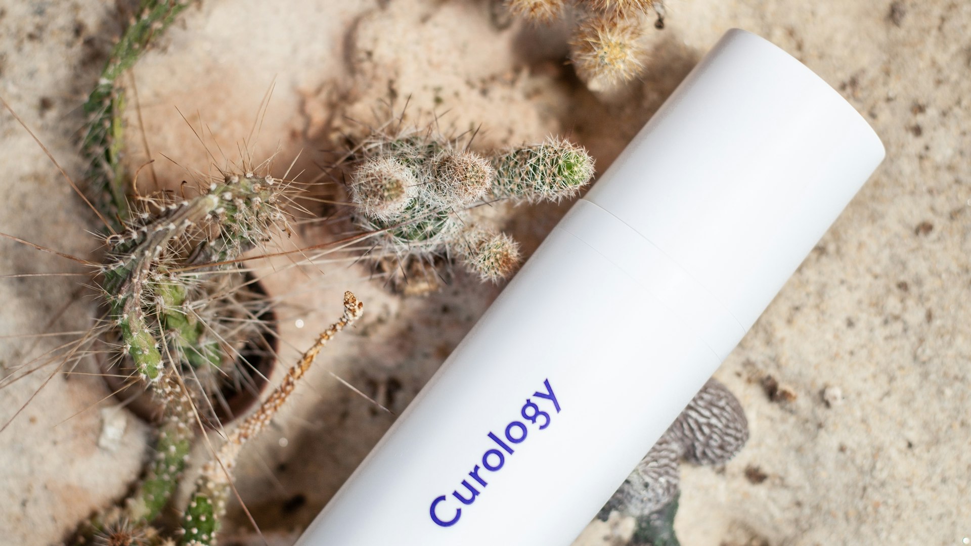 Curated subscription display