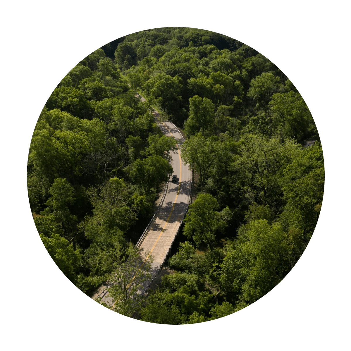 Car driving through trees cropped in circle