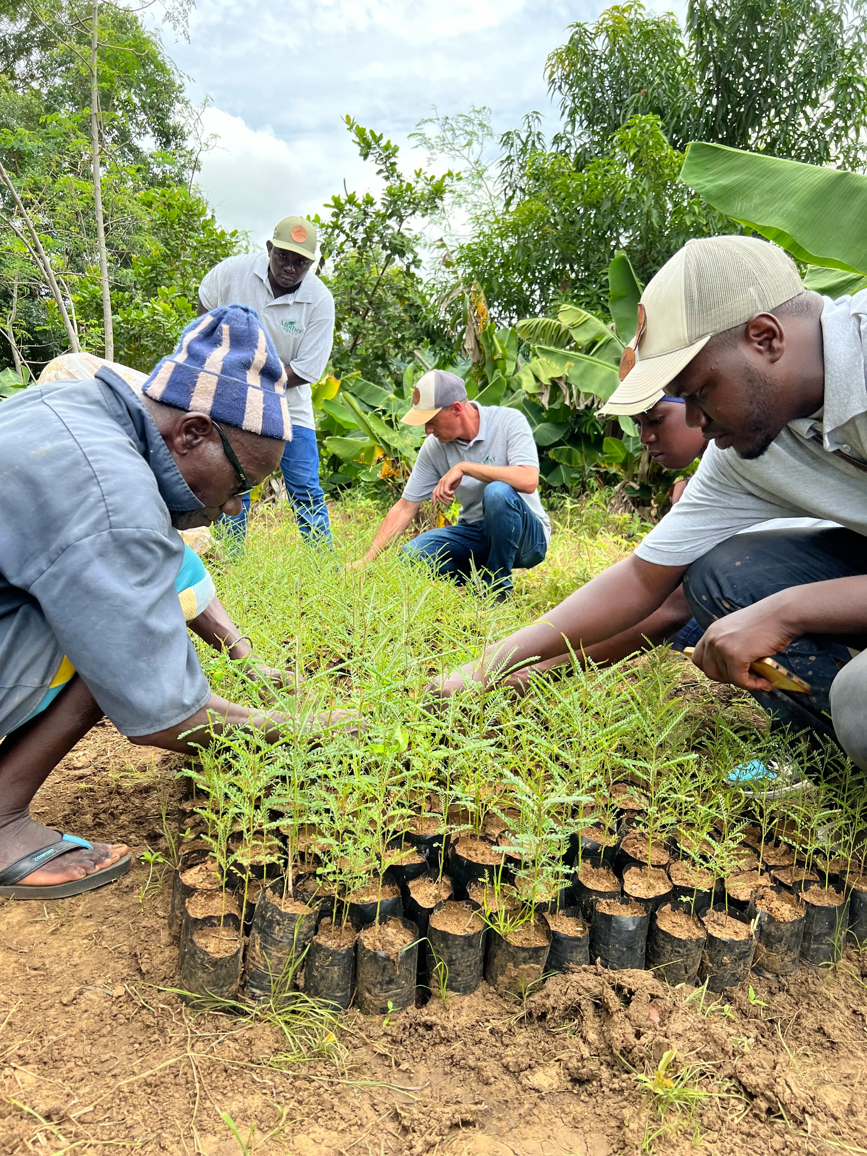 GreenFi Tree Planting Program | Planting the seeds for a greener tomorrow