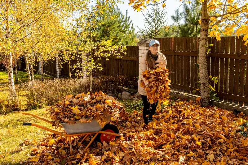 Eine Frau steht im Garten mit einer Schubkarre voller Blätter. 