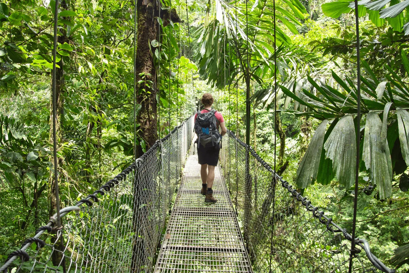 Ein Mann überquert eine Hängebrücke im Dschungel, umgeben von üppiger Vegetation und geheimnisvoller Atmosphäre