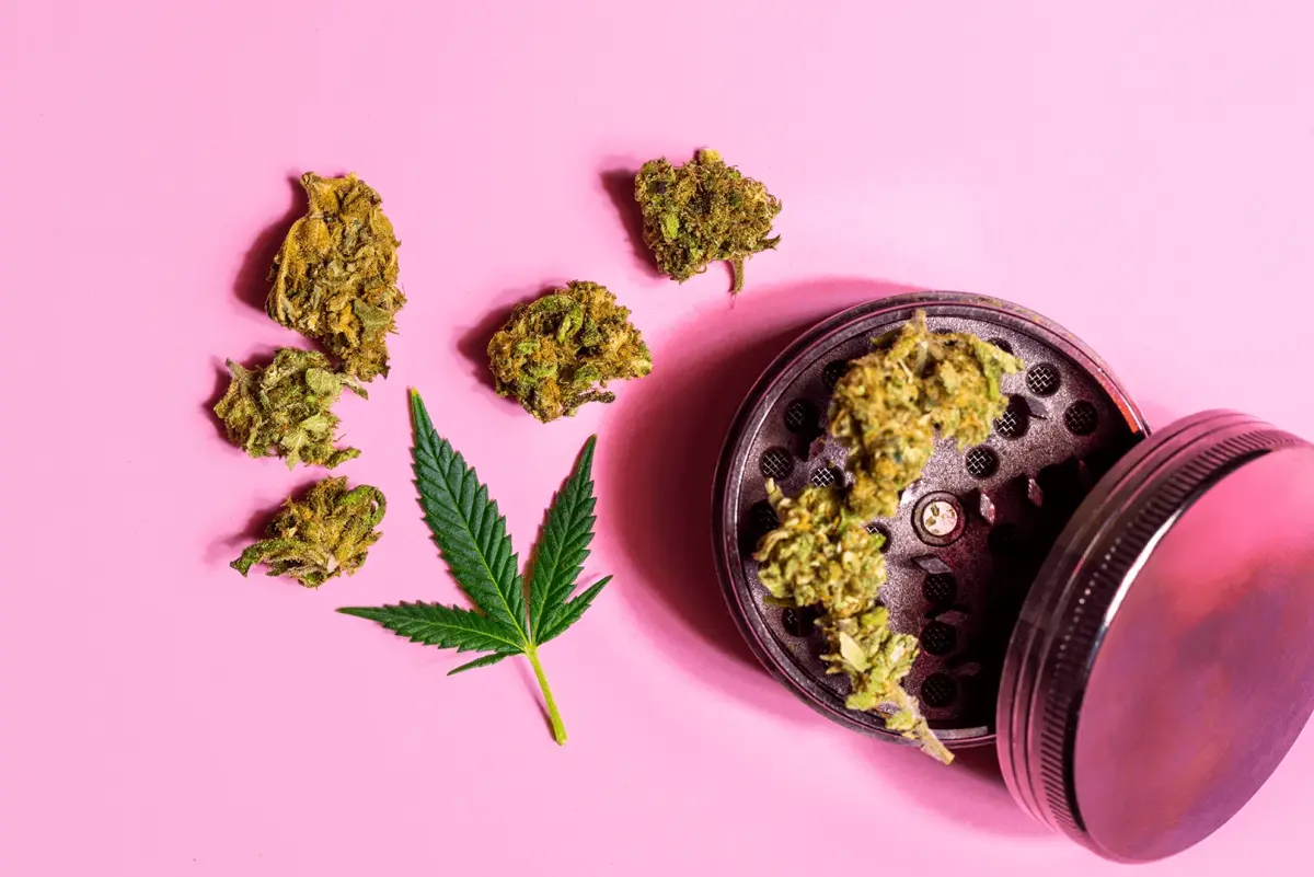 Blogartikel: Teil-Legalisierung Cannabis: Was ist erlaubt – und was verboten?