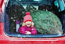 Foto: Ein Mädchen liegt lachend mit einem großen Tannenbaum im Kofferraum.