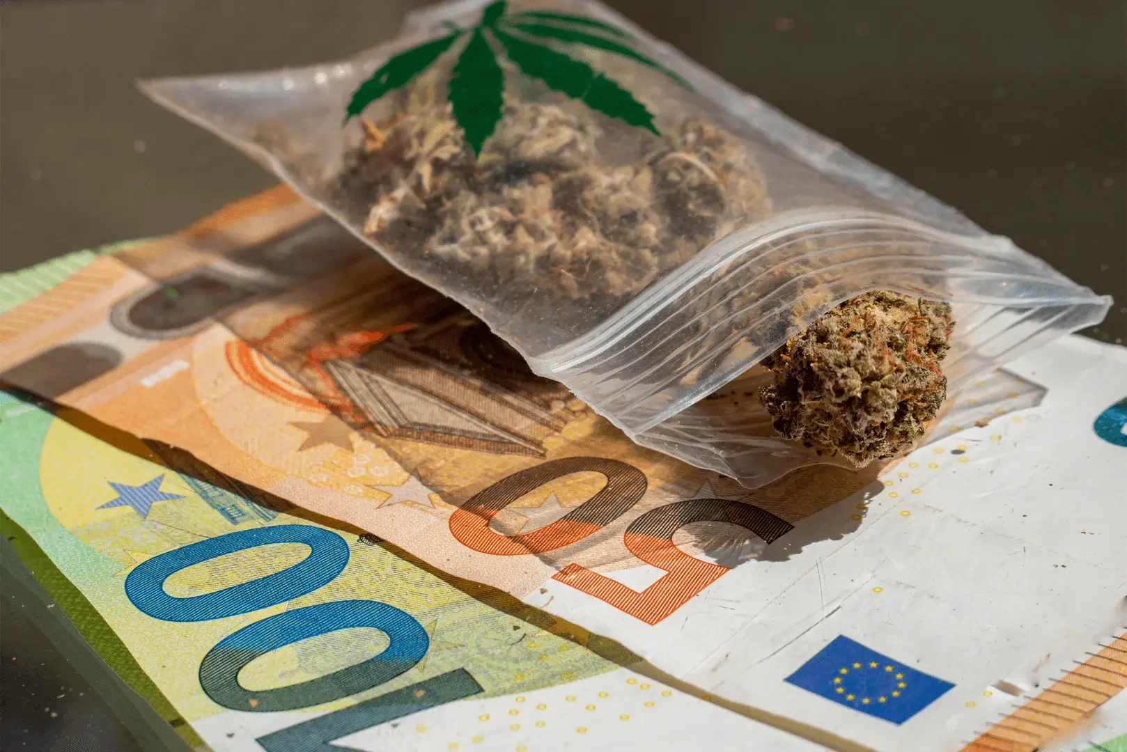 Cannabis am Steuer: Strafen bis zu 5.000 Euro drohen