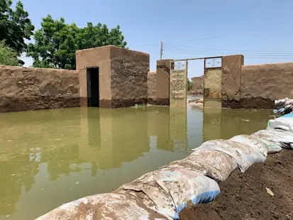 برك المياه الراكدة مواقع تكاثر لأنواع مختلفة من النواقل (محمد أحمد علي /مكتب الأمم المتحدة لتنسيق الشؤون الإنسانية، سبتمبر 2020)