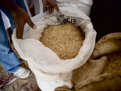 Food stored in a hermetic storage bag