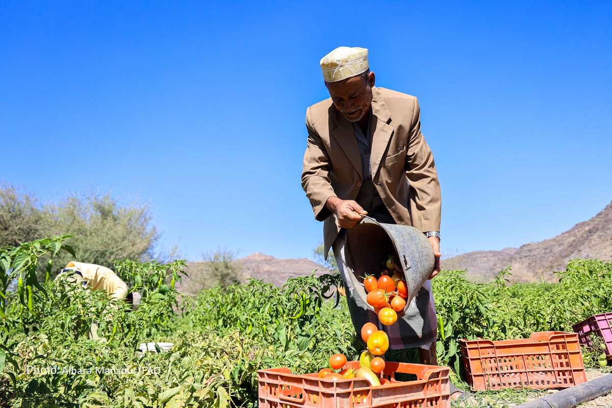 Yemen | Situation Reports