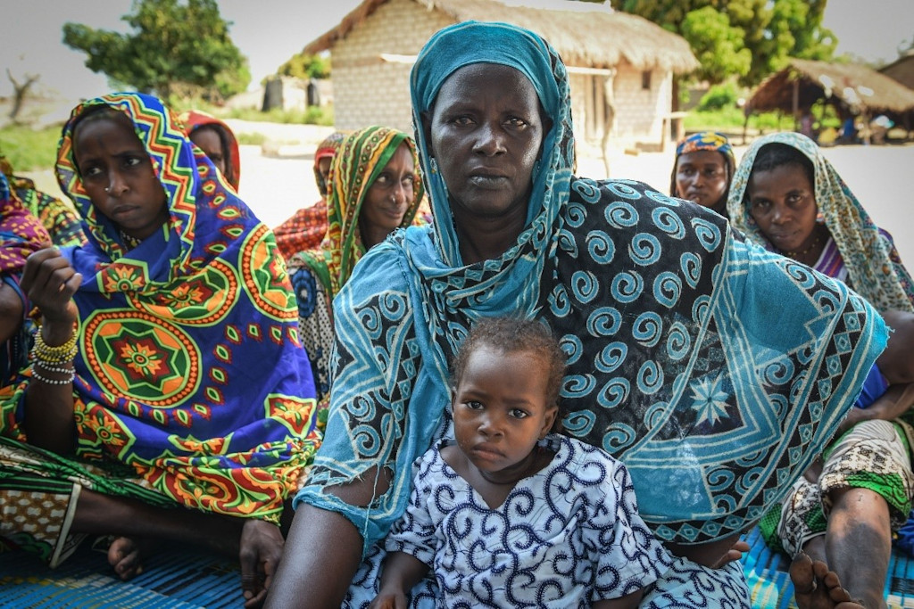 Central African Republic - The survival of 1.9 million people in the ...