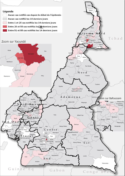 Attack rate per health district in Cameroon