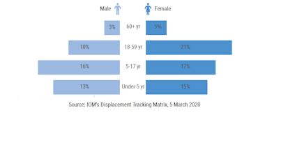 Number of IDPs in UNMISS Adjacent Area in Pibor town by sex and age.