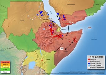 Desert locust situation in Somalia. Source: FAO.