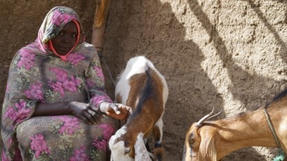 Bab Al-Ginan with her two goats (Ahmed Amin Ahmed, UN Women)