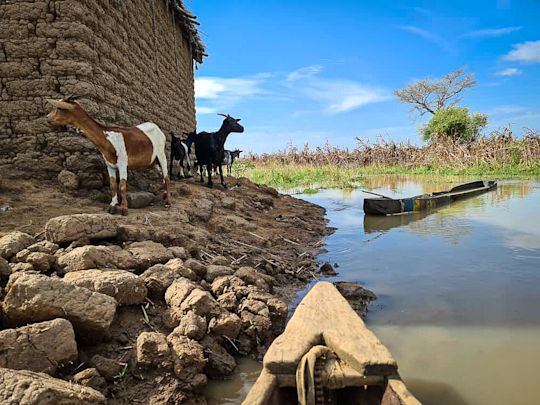Flood in Mayo-Kebbi Est