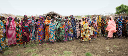 FAO assessment report