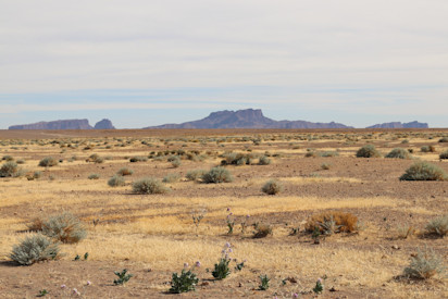 Nord du Tchad
