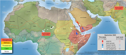 Desert locust situation map - FAO