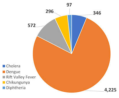 Breakdown of disease outbreaks in Sudan