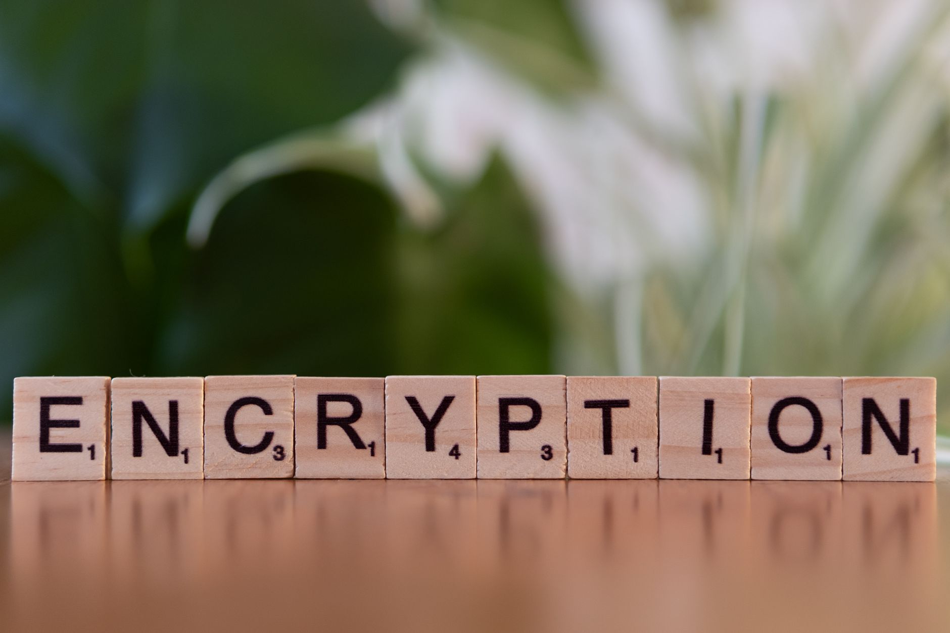 Encryption at Rest and in Transit: What Teams Actually Need insight thumbnail